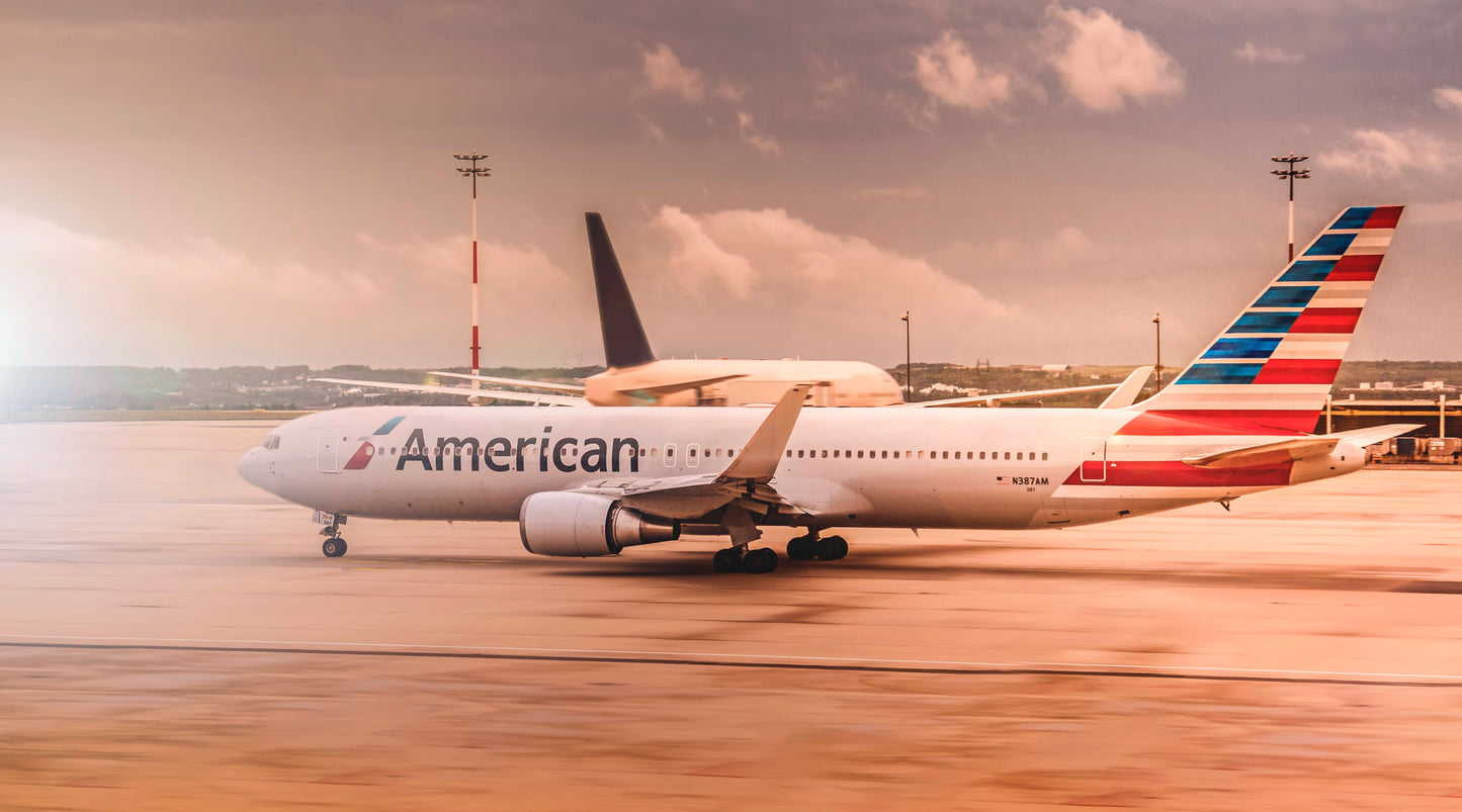 Domestic Flight Assistance